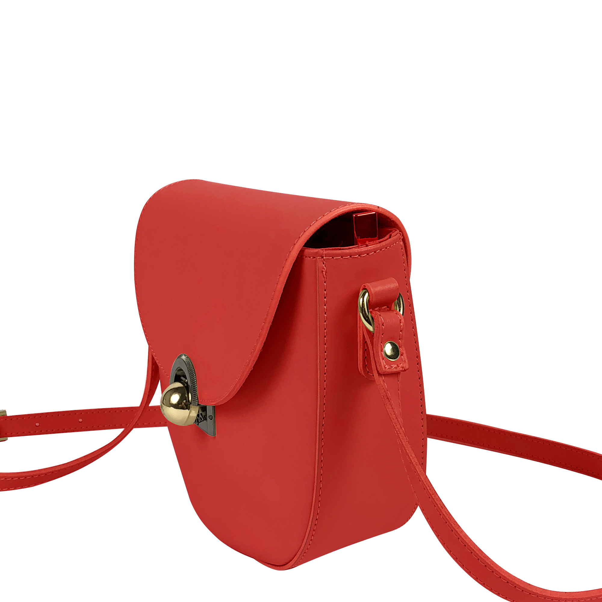 Gill-rossa-laterale.jpg